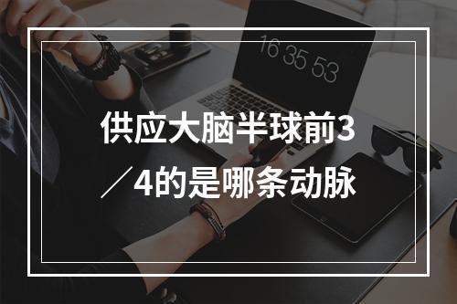 供应大脑半球前3／4的是哪条动脉