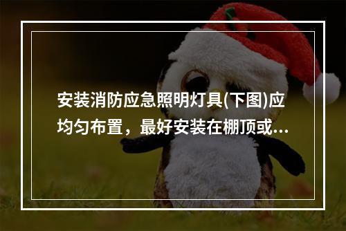 安装消防应急照明灯具(下图)应均匀布置，最好安装在棚顶或距楼