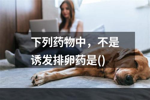 下列药物中，不是诱发排卵药是()