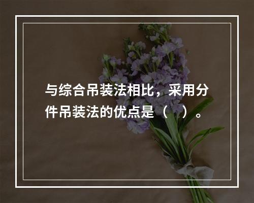 与综合吊装法相比，采用分件吊装法的优点是（　）。