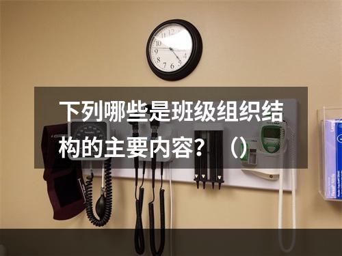 下列哪些是班级组织结构的主要内容？（）