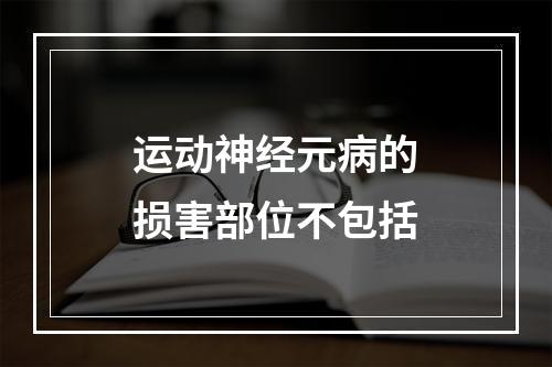 运动神经元病的损害部位不包括