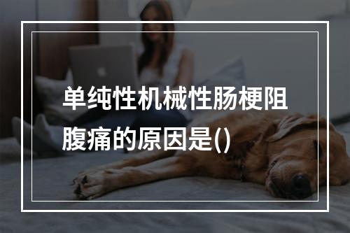 单纯性机械性肠梗阻腹痛的原因是()