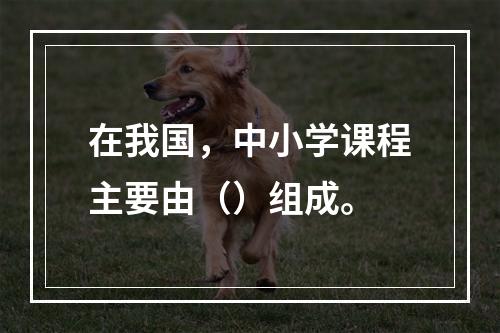 在我国，中小学课程主要由（）组成。