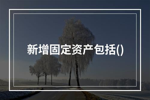 新增固定资产包括()