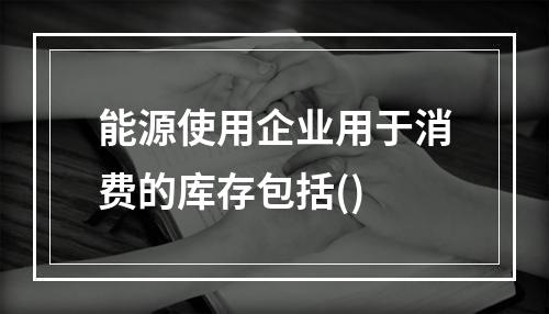 能源使用企业用于消费的库存包括()