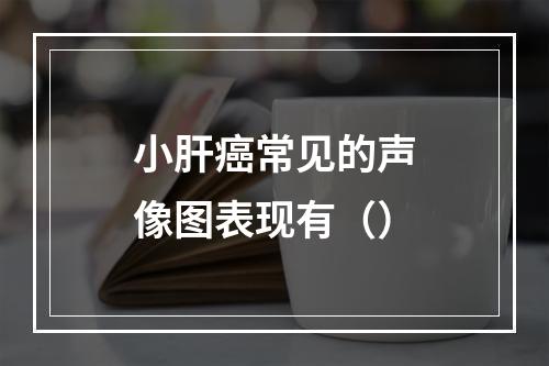 小肝癌常见的声像图表现有（）