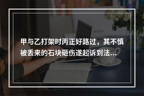 甲与乙打架时丙正好路过，其不慎被丢来的石块砸伤遂起诉到法院要