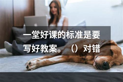 一堂好课的标准是要写好教案。（）对错