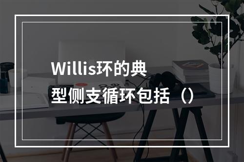 Willis环的典型侧支循环包括（）