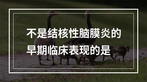 不是结核性脑膜炎的早期临床表现的是