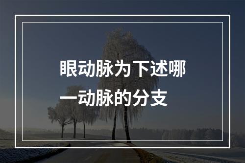 眼动脉为下述哪一动脉的分支