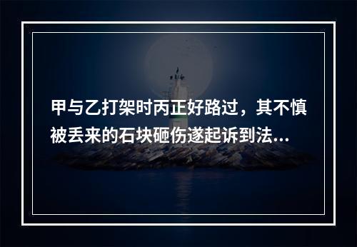 甲与乙打架时丙正好路过，其不慎被丢来的石块砸伤遂起诉到法院要