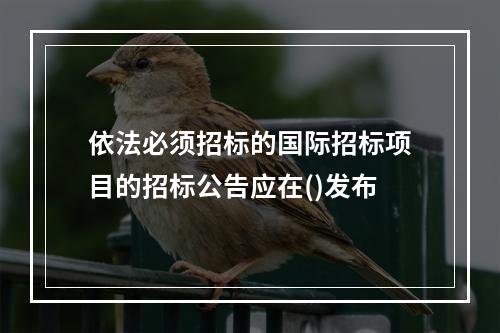 依法必须招标的国际招标项目的招标公告应在()发布