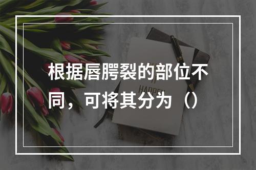 根据唇腭裂的部位不同，可将其分为（）