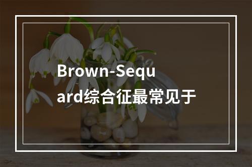 Brown-Sequard综合征最常见于