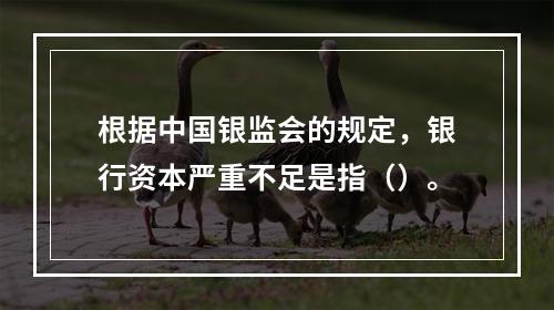 根据中国银监会的规定，银行资本严重不足是指（）。