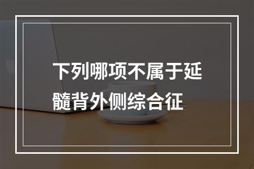 下列哪项不属于延髓背外侧综合征