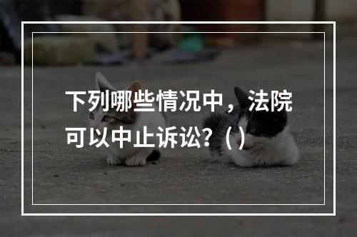 下列哪些情况中，法院可以中止诉讼？( )