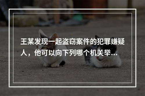 王某发现一起盗窃案件的犯罪嫌疑人，他可以向下列哪个机关举报？