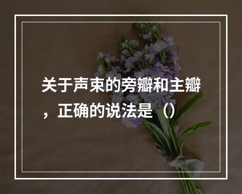 关于声束的旁瓣和主瓣，正确的说法是（）