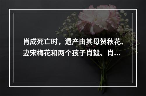 肖成死亡时，遗产由其母贺秋花、妻宋梅花和两个孩子肖毅、肖剑继