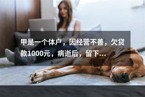 甲是一个体户，因经营不善，欠贷款1000元，病逝后，留下一些