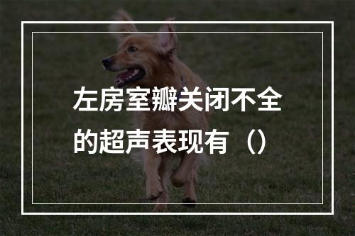 左房室瓣关闭不全的超声表现有（）