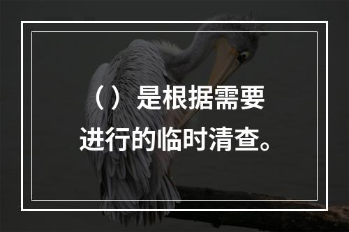 （ ）是根据需要进行的临时清查。