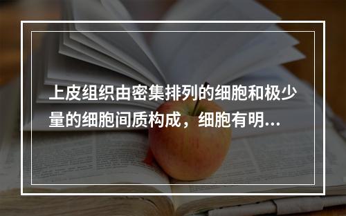 上皮组织由密集排列的细胞和极少量的细胞间质构成，细胞有明显的