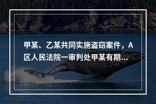 甲某、乙某共同实施盗窃案件，A区人民法院一审判处甲某有期徒刑