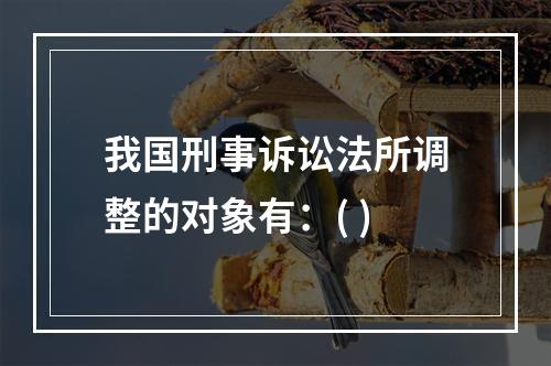 我国刑事诉讼法所调整的对象有：( )