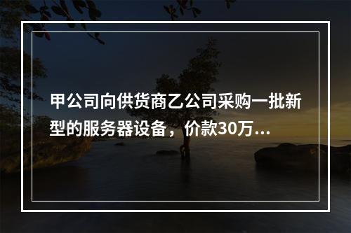 甲公司向供货商乙公司采购一批新型的服务器设备，价款30万元，