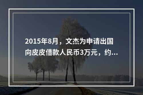 2015年8月，文杰为申请出国向皮皮借款人民币3万元，约定还