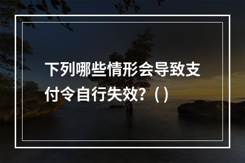 下列哪些情形会导致支付令自行失效？( )