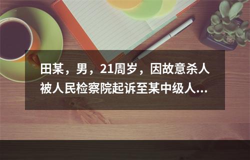 田某，男，21周岁，因故意杀人被人民检察院起诉至某中级人民法