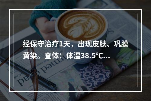 经保守治疗1天，出现皮肤、巩膜黄染。查体：体温38.5℃，右