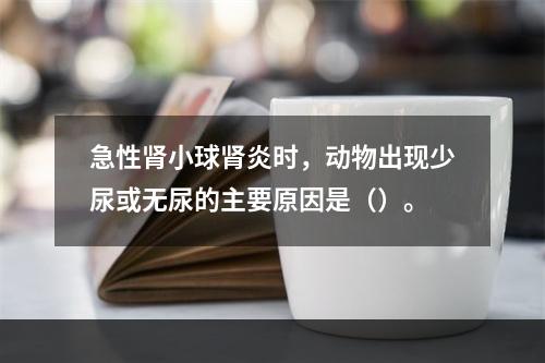 急性肾小球肾炎时，动物出现少尿或无尿的主要原因是（）。