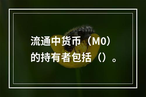 流通中货币（M0）的持有者包括（）。