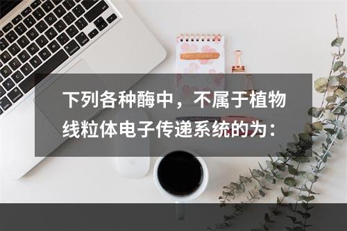 下列各种酶中，不属于植物线粒体电子传递系统的为：