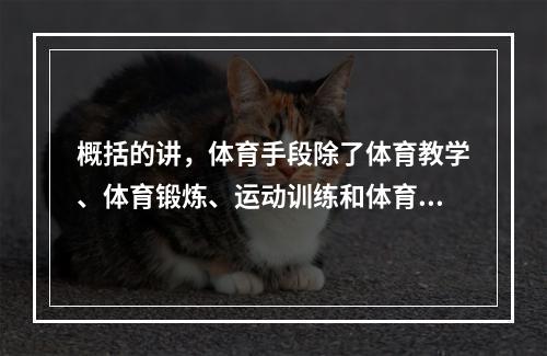 概括的讲，体育手段除了体育教学、体育锻炼、运动训练和体育竞赛