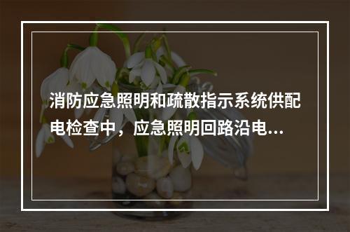 消防应急照明和疏散指示系统供配电检查中，应急照明回路沿电缆管