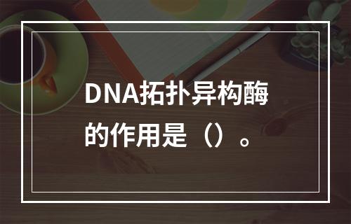 DNA拓扑异构酶的作用是（）。