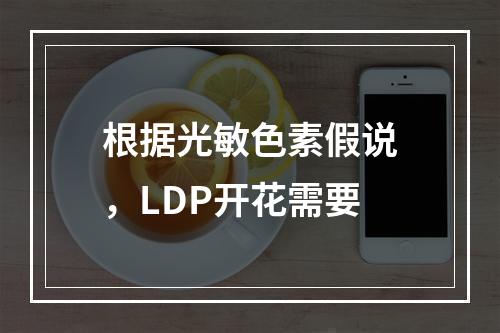 根据光敏色素假说，LDP开花需要