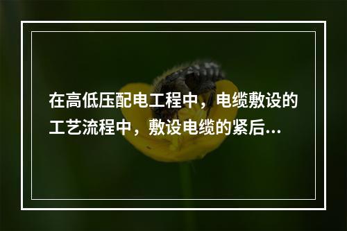 在高低压配电工程中，电缆敷设的工艺流程中，敷设电缆的紧后工艺