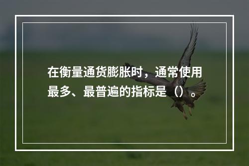 在衡量通货膨胀时，通常使用最多、最普遍的指标是（）。