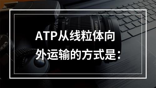 ATP从线粒体向外运输的方式是：