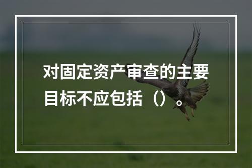 对固定资产审查的主要目标不应包括（）。