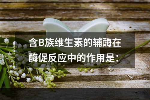 含B族维生素的辅酶在酶促反应中的作用是：