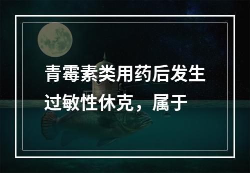 青霉素类用药后发生过敏性休克，属于